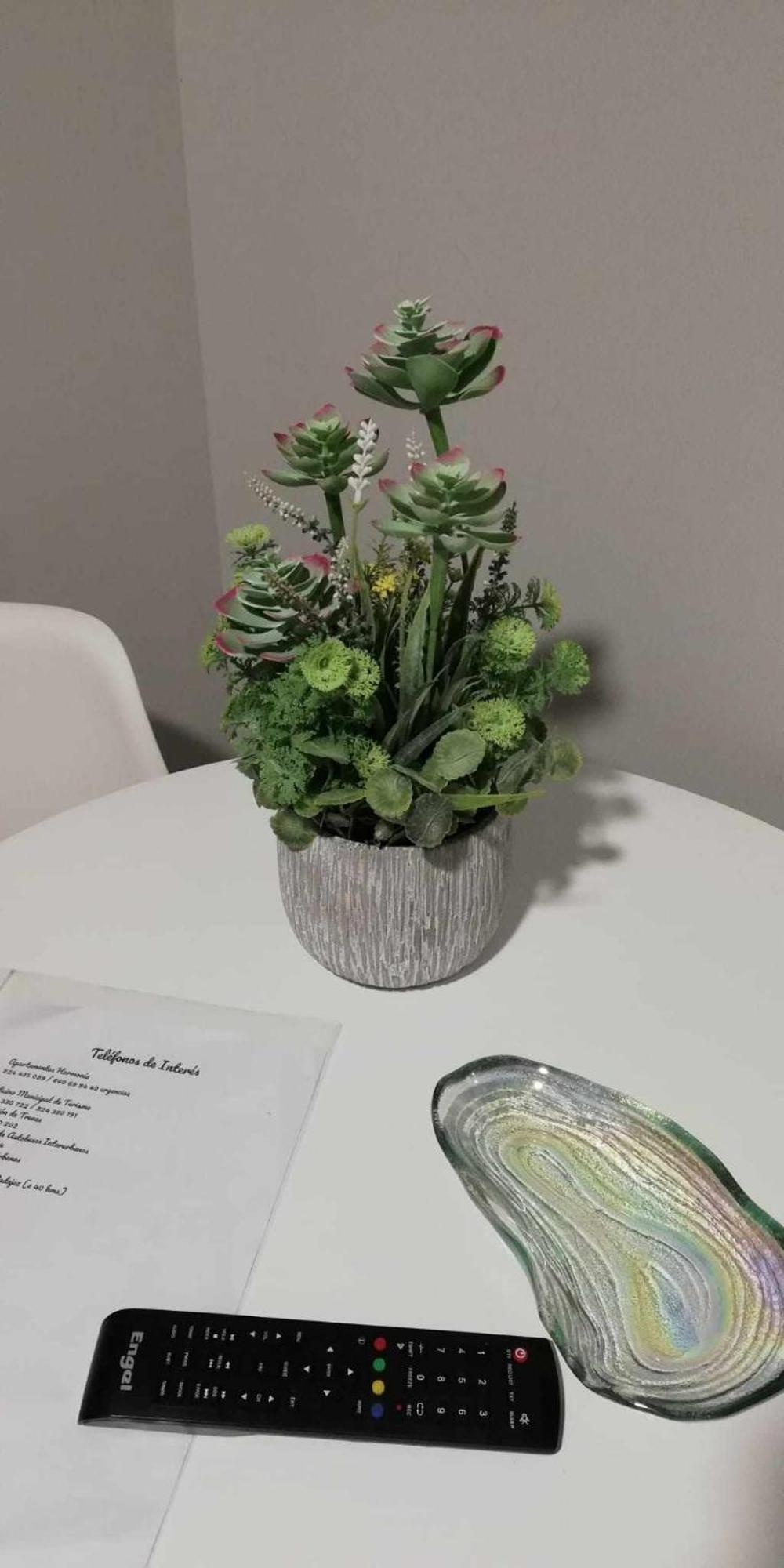 Apartamentos Harmonia เมรีดา ห้อง รูปภาพ